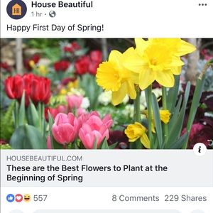 Meet your Posher, Tarnesha